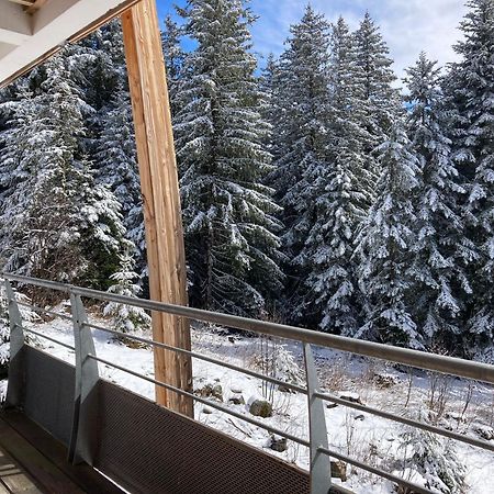 Studio Chamrousse 1700 Pour 4 Personnes - Au Calme - Avec Wifi Ngoại thất bức ảnh