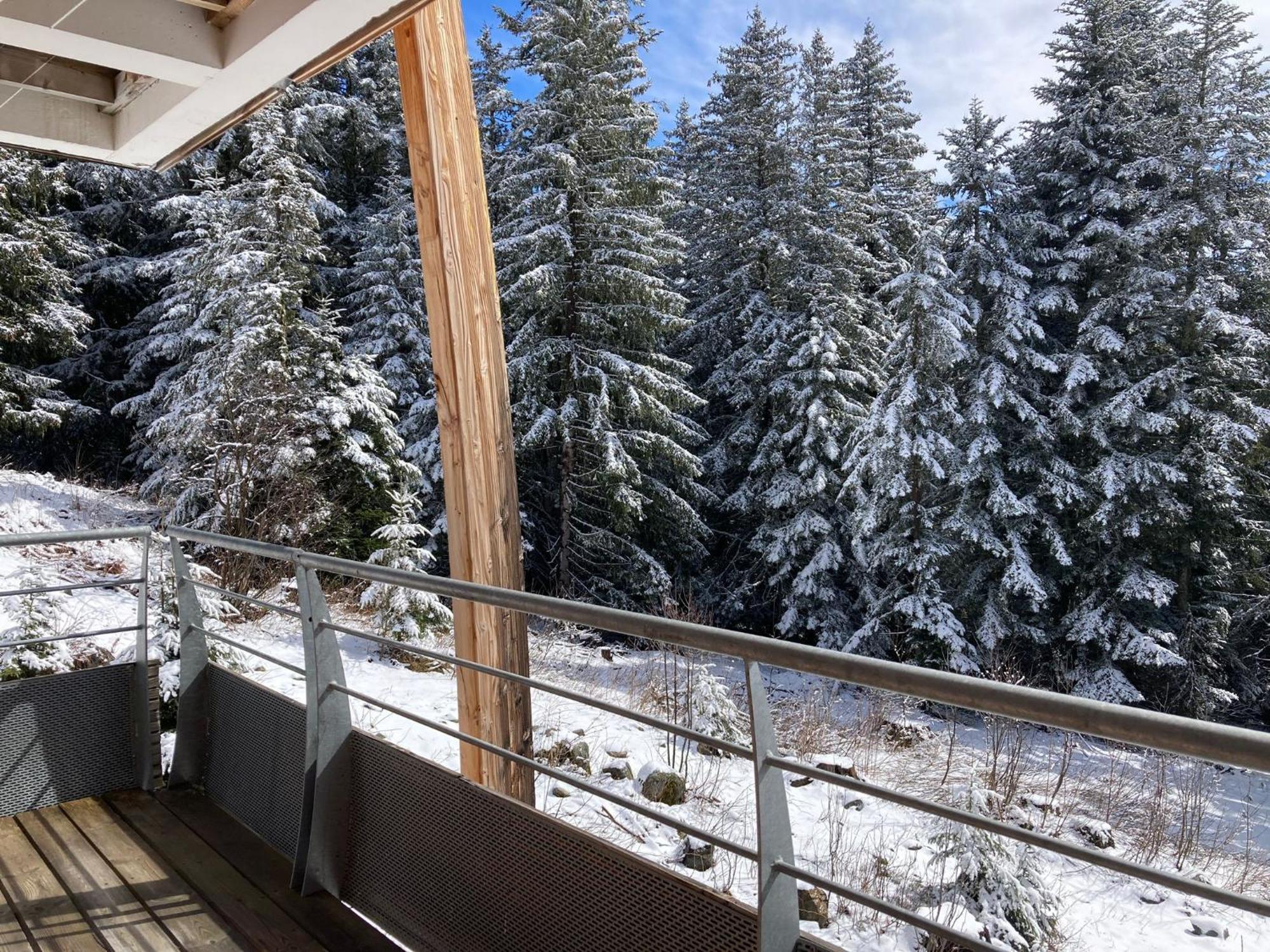 Studio Chamrousse 1700 Pour 4 Personnes - Au Calme - Avec Wifi Ngoại thất bức ảnh